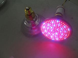 LED PAR38植物生長燈泡 孝感捷能特種光源的創新實踐